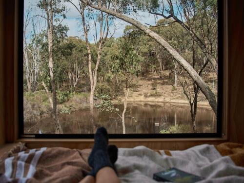 Secluded off-Grid cabin with water views - Marcel in Chewton