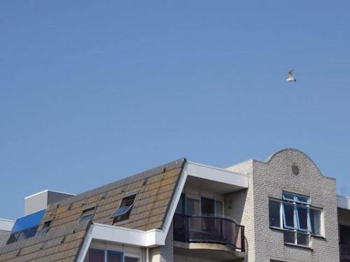 Apartment with dunes view of Petten, Petten (zdjęcie 6)