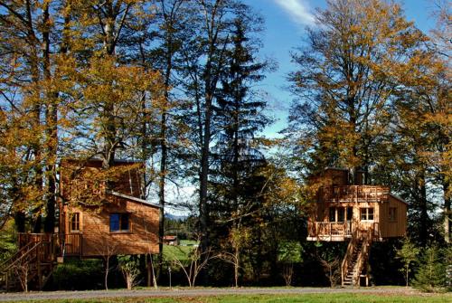 Two-Bedroom Treehouse Vogelfrei