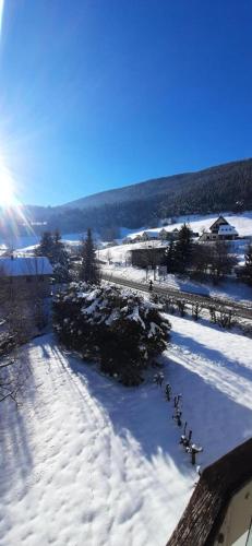 Residence Des Pres - STUDIO DE 22M² VILLARD DE LANS MAE-1224 Residence Des Pres - STUDIO DE 22M² VILLARD DE LANS MAE-1224