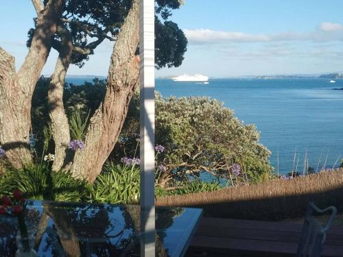 Takapuna Bay, Auckland (foto 11)