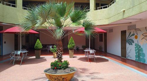 Iekārtas, Hotel Primavera in Floridablanca