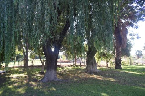 Casa quinta soñada (Casa quinta sonada) in 비야 아베라스타인