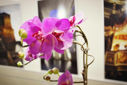 Hotel Colombo - image 7