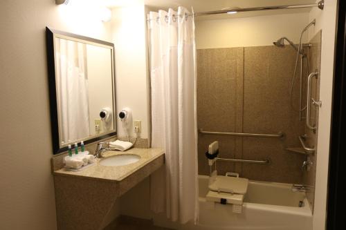 Standard King Room with Accessible Tub - Mobility Access