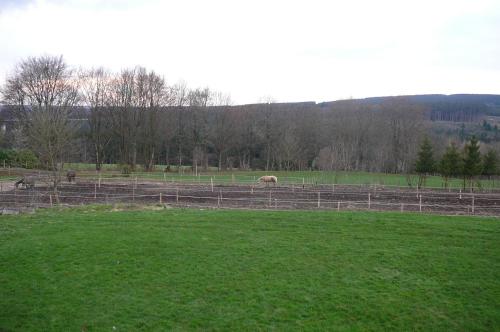 tuin, Le Bernister parking prive in Malmedy