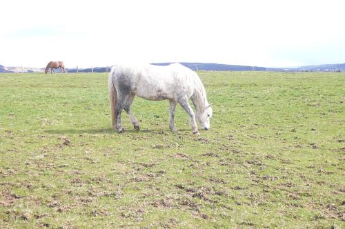 Le Bernister parking prive in Malmedy