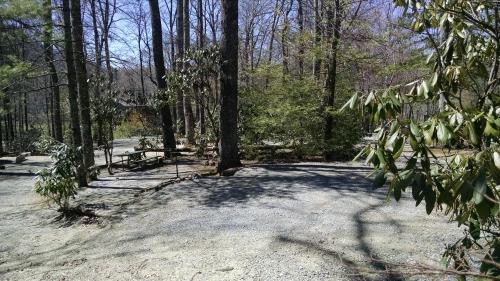 Linville Falls Campground RV Park and Cabins - image 2