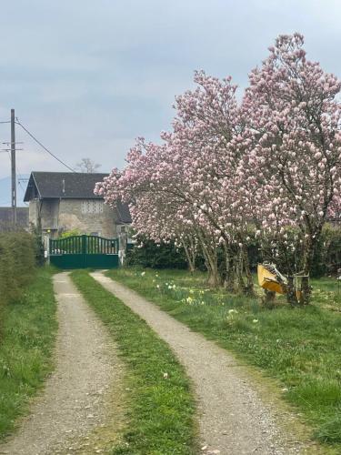 Escale - Location saisonnière - La Motte-Servolex