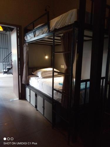 Bunk Bed in Mixed Dormitory Room image 6