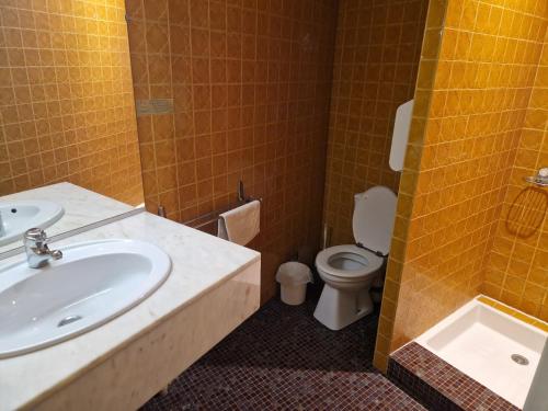 Cit'hotel Le Phenix Limoges - Hotel