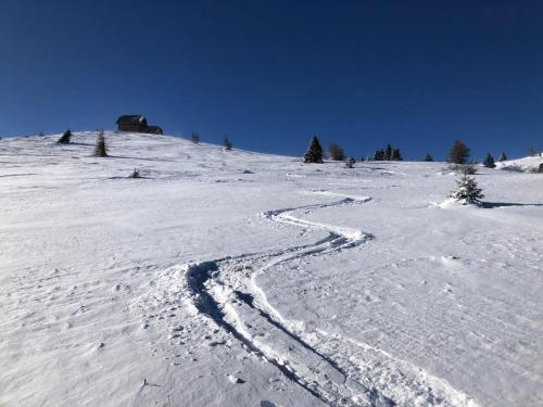 Alpengasthaus Gießlhütte - image 11