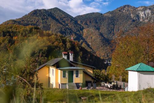 Ferienhaus Alexandra in Ebensee