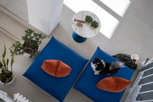 Hotel Venere Azzurra - image 7