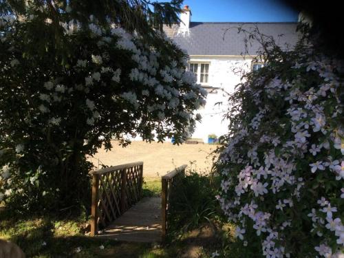 Bayvil - Nevern in Nevern