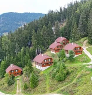 Almhüttendorf Klippitztörl in Klippitztorl, Österreich