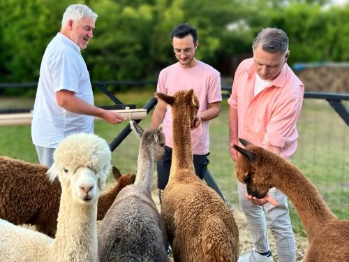 Nana Mac Chambre D'hôtes chambre d'hôte Montalembert