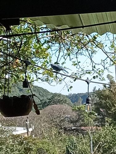 Hostal Vista Boquete