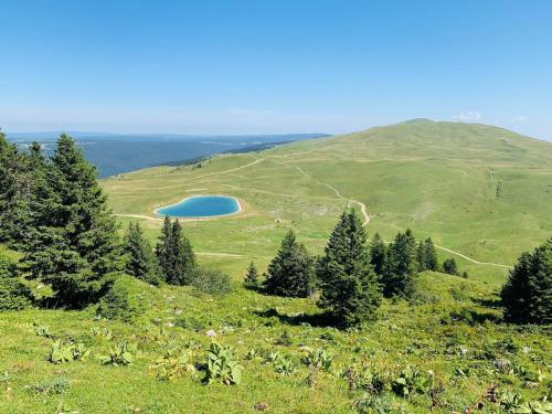 Tuvākā izklaides vieta, Grizzli rouge - pied des pistes avec parking in Lelex
