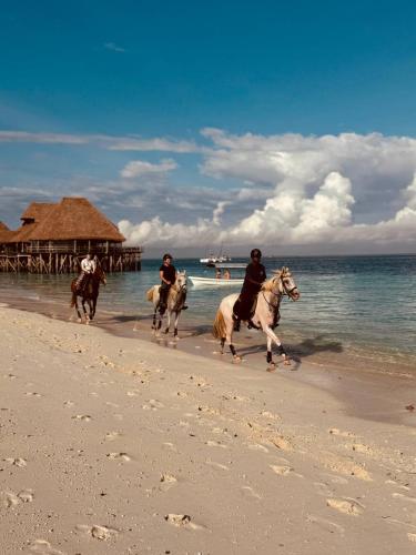 Khu vực xung quanh, Compass Hostel in Zanzibar