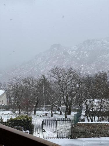 Estrela da Montanha Estrela da Montanha