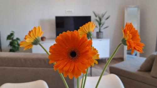Apartment GA-JA, Lublaň