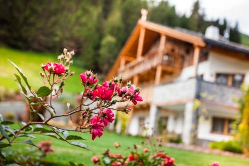 Alpine Mountain Chalet