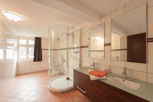 Shower, Ferienhaus Lemmerquelle in Niedersfeld