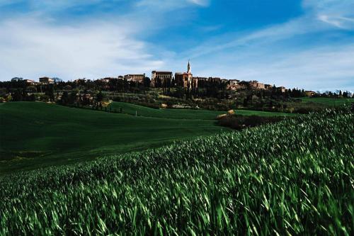 Agriturismo Il Casalino - image 2