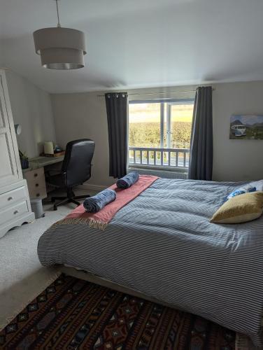 Number 46, Bicton (foto 5)