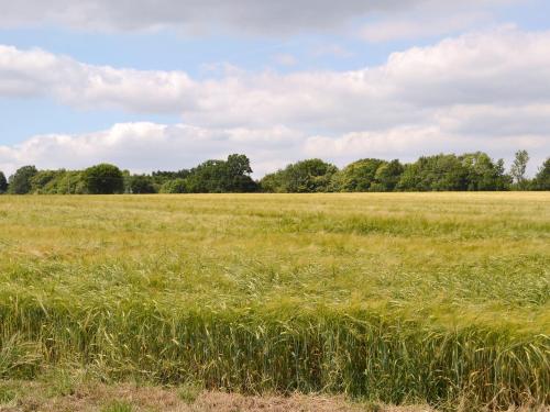 Stable Cottage Stable Cottage