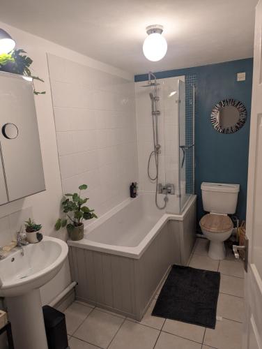 Number 46, Bicton (foto 7)