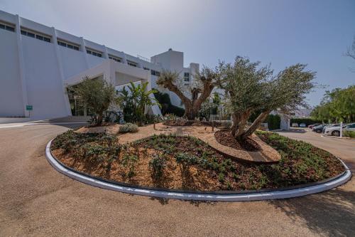 MarSenses Rosa del Mar Hotel & Spa - image 7