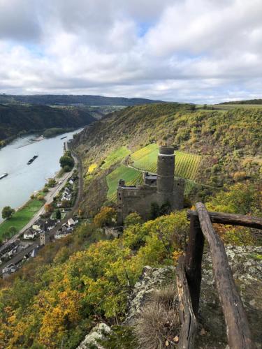 Authentiek, Vintage Chalet aan de Bosrand in Dalheim