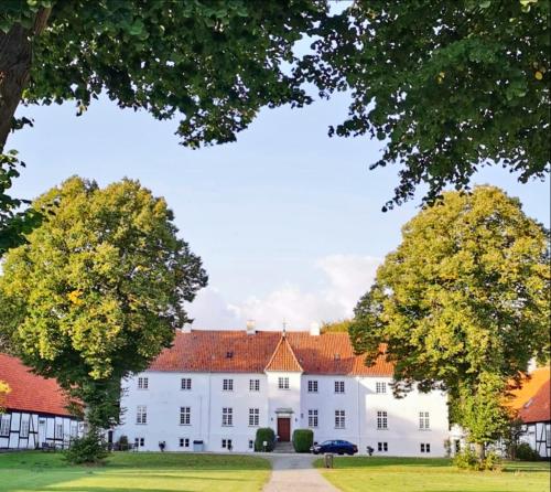 Øbjerggaard Bed & Breakfast
