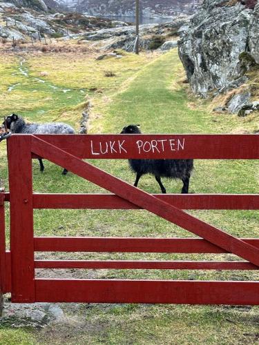 Havslottet på Feøy Havslottet på Feøy