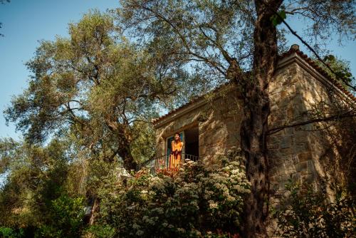 Parga Beach Resort - image 8