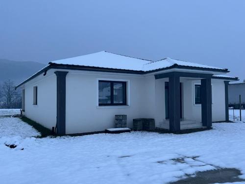 Villa Selena in Oncesti