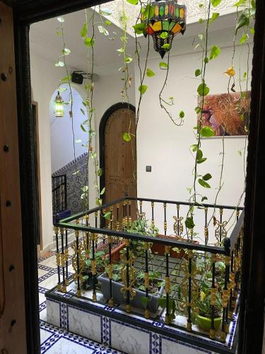 Dar Rif Kebdani Dar Rif Kebdani