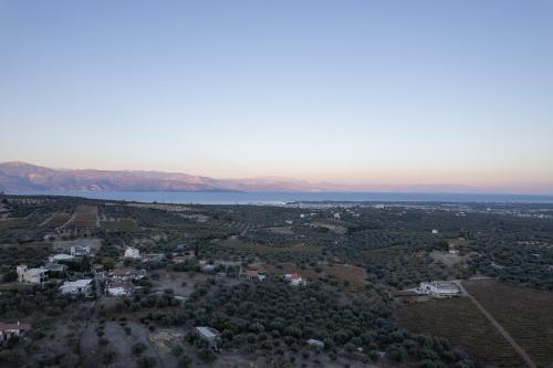 Amara Haven, Egio