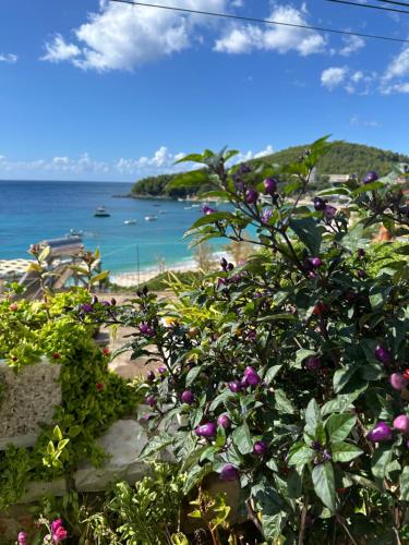 Fane's Apartments - image 4