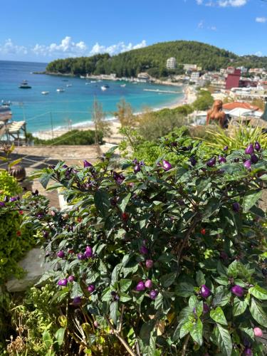 Fane's Apartments - image 6