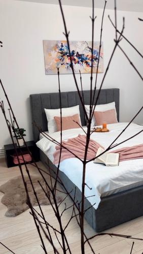 B&A Apartments, Hunedoara