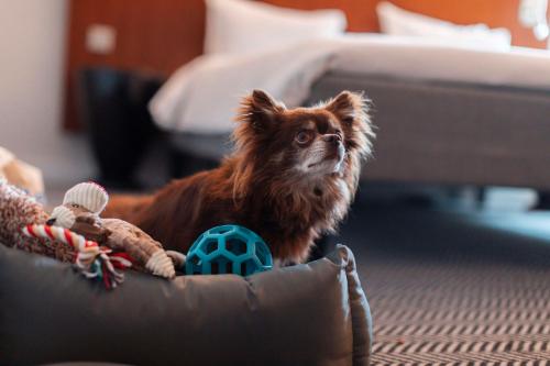 Radisson Blu Arlandia Hotel Stockholm-Arlanda - image 5