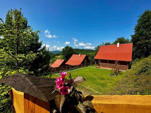 Wilcze Wzgórze (Wilcze Wzgorze) in Wolkowyja