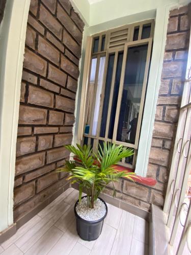 Amazing apartment in Milimani Kisumu-Kabs in 基苏木
