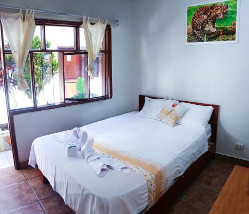 Tengana Hospedaje y Tours in Tarapoto