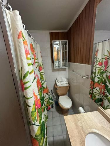 Hotel los maitenes – Pucon, MI