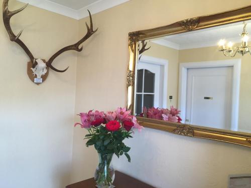 บริการและสิ่งอำนวยความสะดวก, Fassfern Guesthouse in ฟอร์ต วิลเลียม ซิตี้เซ็นเตอร์