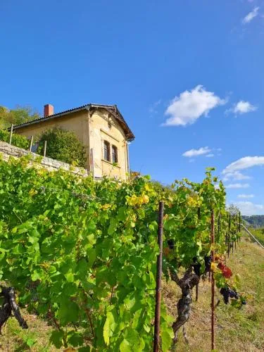 Ferienhaus und Straußwirtschaft im Weinberg in Freyburg Unstrut, Deutschland